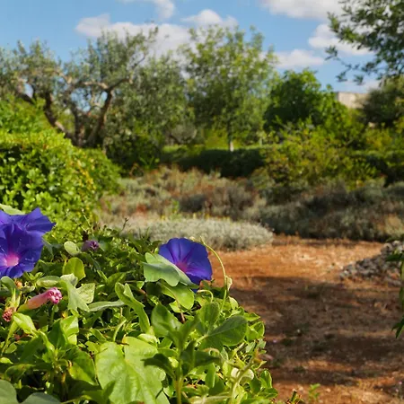 Masseria Kalandini Oda ve Kahvaltı 4*