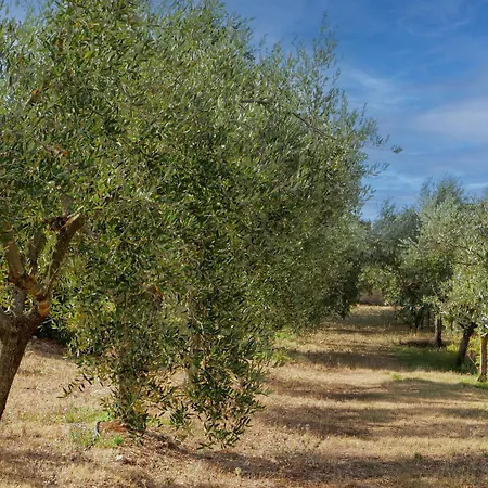 Masseria Kalandini Bed & Breakfast 4*